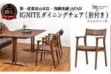 IGNITE ダイニングチェア（肘付）【ウォルナット材】 JIG-DCW206A PNW/DエームマスターTK イス・椅子（D142-01 ）