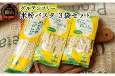 G5-01 グルテンフリー ライスパスタ3袋セット S1（スパゲッティ、フジッリ、フェットチーネ） 米粉パスタ お試し 米粉