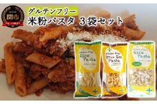 G5-03 グルテンフリー ライスパスタ3袋セット S3（ペンネ、フジッリ、パッケリ） 米粉パスタ