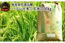 【岐阜県代表品種】令和7年産ハツシモ米 【玄米】30kg L6　【11月以降順次発送】