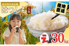【岐阜県代表品種】令和7年産ハツシモ米 【玄米】30kg L6　【11月以降順次発送】