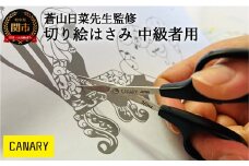 蒼山日菜監修 切り絵はさみ中級者用（DSA-100M） 切り絵 鋏 工作 紙工作 クラフト 日本製 ハサミ はさみ 鋏 正規品 メーカー メーカ直送 関市 刃物 修理可能 アフターケア 文具 監修 切り絵作家 刃物の町 長谷川刃物 キャナリー CANARY canary 【30営業日】（45日程度）を目安に発送