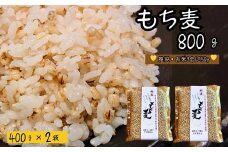 もち麦 【800g】 そのままごはんと一緒にすぐ炊ける 8ぶづき ～栽培期間中 化学肥料 農薬不使用～G8-05 
