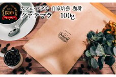 コーヒー豆 グァテマラ １００g （約10杯分） ～ カフェ・アダチ 自家焙煎 珈琲 コーヒー 豆 （粉にもできます） ドリンク 飲料 カフェアダチ