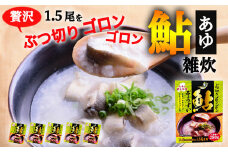 ぶつ切りゴロンゴロン鮎ぞうすい　280ｇ×5箱セット