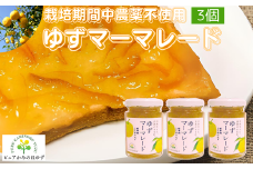 「ゆずの里上之保」 ゆずマーマレード　3個 ～栽培期間中農薬不使用の上之保産柚子を使用 自家栽培 国産 柚子 ユズ フルーツ 果物 常温 くだもの ジャム 美味しい おいしい うまい 絶品 グルメ