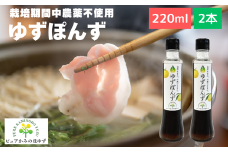 「ゆずの里上之保」 ゆずポン酢　2個 ～栽培期間中農薬不使用の上之保産柚子を使用 自家栽培 ゆずぽんず 国産 柚子 ユズ ぽんず 調味料 鍋 なべ 美味しい おいしい うまい 絶品 グルメ