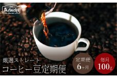 【定期便】関市　コーヒー豆　カフェアダチ　コクのある　厳選ストレートコーヒー　６ヶ月定期便　１００g/カフェアダチ　珈琲　コーヒー　自家焙煎　COFFEE　焙煎　豆　粉にもできます　
