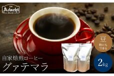 関市　コーヒー　自家焙煎珈琲豆　カフェアダチ　ビターチョコのようなコク　グァテマラ　２kg/カフェアダチ　珈琲　コーヒー　自家焙煎　COFFEE　焙煎　グァテマラ　豆　粉にもできます　