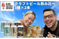 クラフトビール 定番3種×2本 ( ラガー IPA ヘイジーIPA )　360ml 計6本 冷蔵 地ビール お酒 アルコール 飲料 セット