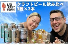 クラフトビール 定番3種×2本 ( ラガー IPA ヘイジーIPA )　360ml 計6本 冷蔵 地ビール お酒 アルコール 飲料 セット