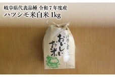 【岐阜県代表品種】　令和7年産　ハツシモ米　白米1kg　S20　【12月1日以降順次発送】