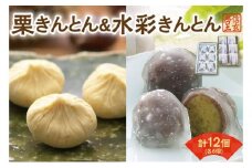 栗きんとん6個入＆水彩きんとん6個入 [秋季限定] 信玄堂 栗 くり くりきんとん 和菓子 菓子 スイーツ 秋 限定 詰め合わせ 冷蔵 岐阜県 F4N-2300