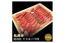 「肉の芸術品」飛騨牛焼肉用 400g 焼肉 バーベキュー BBQ F4N-0609