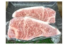 「肉の芸術品」飛騨牛サーロインステーキ180g×2枚 F4N-0615