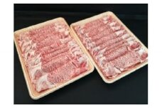 「肉の芸術品」飛騨牛すき焼き用（肩ロース肉）250g×2パック F4N-0613