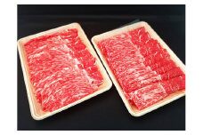 「肉の芸術品」飛騨牛しゃぶしゃぶ用（モモ肉）600g F4N-0614