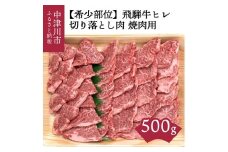【希少部位】「肉の芸術品」飛騨牛ヒレ切り落とし肉焼肉用500g F4N-0620