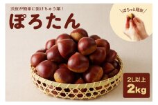 【期間限定】低温貯蔵 東美濃ぽろたん（生栗） 【発送日10月末～12月上旬】 F4N-1275