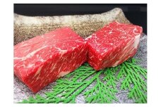 【おうちBBQ】飛騨牛ローストビーフ用かたまり約300g×2本 F4N-0616