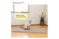 猫のつめとぎ（大）【かなり】おおきめサイズで2枚入り! F4N-1285