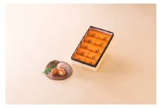 【高島屋選定品】＜七福＞ 宿場の茶屋柿10個入  柿 かき 栗きんとん 栗 お菓子 菓子 やわらかい 果肉 中津川市 中津川 F4N-1943