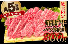 【数量限定！チルド（冷蔵）発送！】「飛騨牛」A5等級バラ 300g 鉄板焼き 網焼き 焼肉 バーベキュー BBQ F4N-1224