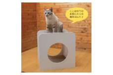 猫のつめとぎ＋House「しかく」（ぷらすはうすしかく） F4N-1289
