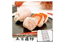 五百羅柿 10個入 F4N-0169