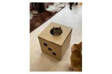 遊べる猫用爪とぎボックス「穴があったら入りたい」 F4N-0424