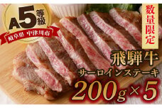 【数量限定！チルド（冷蔵）発送！】「飛騨牛」A5等級サーロインステーキ 200g×5枚 鉄板焼き 網焼き 焼肉 バーベキュー BBQ F4N-1257