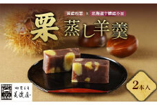 【中津川銘菓】【栗の銘菓】御菓子司美濃屋 栗蒸し羊羹 2本入り 国内特選栗使用 中津川銘菓 中津川 岐阜 和菓子 お茶菓子 お茶請け 羊羹 菓子 食品 F4N-1936