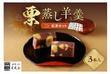 【ふるさと納税限定】栗蒸し羊羹3本入り・お茶セット F4N-0996
