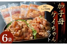 加子母ケイちゃんセット （鶏肉 みそ味 醤油味 計500g×2・200g×4） けいちゃん 鶏ちゃん アトラ生鮮館 F4N-1175