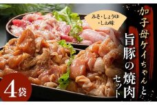 加子母ケイちゃんと旨豚の焼肉セット （鶏肉 500g×2 豚トロ 180g×1 豚バラ肉の塩麹200g×1） けいちゃん 鶏ちゃん アトラ生鮮館 F4N-1177
