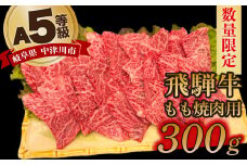 【数量限定！チルド（冷蔵）発送！】「飛騨牛」A5等級もも 300g 鉄板焼き 網焼き 焼肉 バーベキュー BBQ F4N-1226