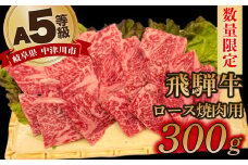 【数量限定！チルド（冷蔵）発送！】「飛騨牛」A5等級 ロース 300g 鉄板焼き 網焼き 焼肉 バーベキュー BBQ F4N-1232