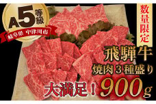 【数量限定！チルド（冷蔵）発送！】「飛騨牛」A5等級 焼肉3種盛り！ ロース・もも・バラ各300g 鉄板焼き 網焼き 焼肉 バーベキュー BBQ F4N-1250