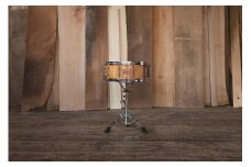【高島屋選定品】＜koikedrums＞ 欅 スネアドラム（14”×6”）  F4N-0580