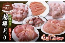 産地直送！恵那どり お試し6種 12パックセット 冷凍 F4N-0451
