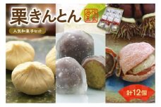 人気商品!! 栗きんとん詰合せ12個入 [秋季限定] 信玄堂 【2026年1月お届け】 F4N-2323