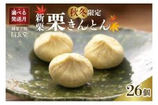 中津川銘菓：栗きんとん26個（10個入×2箱+6個入×1箱）[秋季限定] 信玄堂 【2026年1月お届け】 F4N-2319