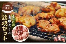 産地直送! 恵那どりの鶏焼セット 計1kg（2～3人前）冷凍 F4N-0448