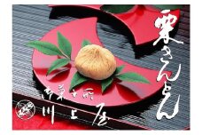 【12月お届け】 御菓子所 川上屋 栗きんとん （秋季限定）20個入り F4N-1703