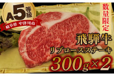 【数量限定！チルド（冷蔵）発送！】「飛騨牛」A5等級リブロース 300g×2枚 ステーキ 鉄板焼き 網焼き 焼肉 バーベキュー BBQ F4N-1244