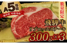 【数量限定！チルド（冷蔵）発送！】「飛騨牛」A5等級リブロース 300g×3枚 ステーキ 鉄板焼き 網焼き 焼肉 バーベキュー BBQ F4N-1255