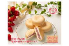 中津川市之瀬 「章姫＆紅ほっぺ最中アイス」 8個入 F4N-1836