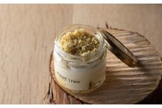 meet tree特製 和三盆入り「NAKATSUGAWA栗粉モンブラン～極～」 6個入り お店こだわり 溶けるようなふわふわ食感 F4N-0198