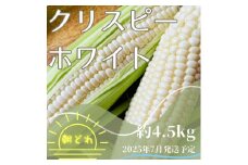 『バナナマンの早起きせっかくグルメ!!』で紹介されました！【予約販売】白いとうもろこし クリスピーホワイト 4.5kg F4N-0456