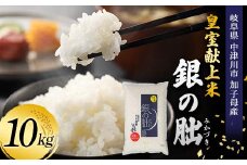 ＜テレビで紹介されました！＞令和7年度 新米 皇室献上米『銀の朏』10kg 中津川市加子母産 栽培期間中化学肥料不使用 米 お米 コメ ごはん ご飯 食品 F4N-1865
